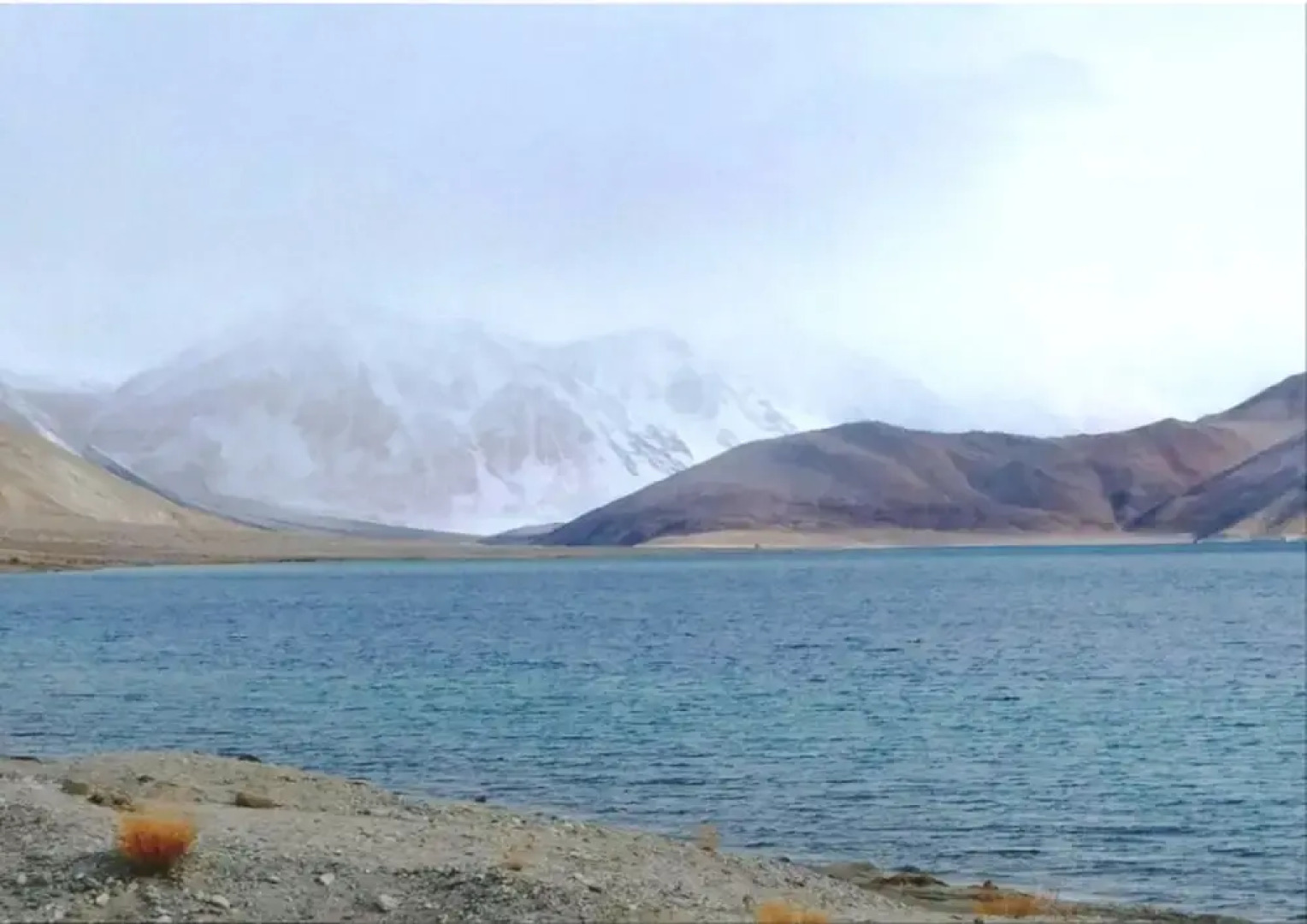 Royal Camp - Pangong