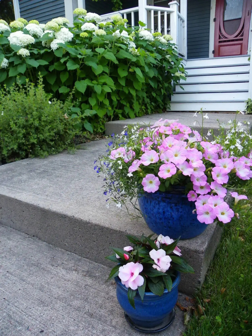 The Colonel's In B&B