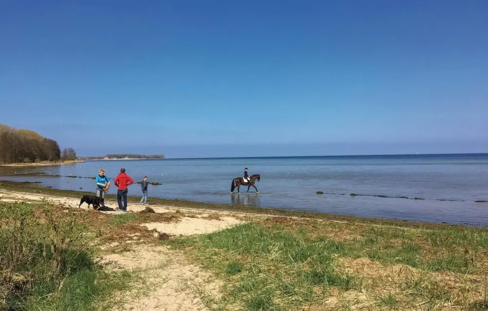 Amazing Home in Zierow OT Poeler Drift With 2 Bedrooms, Sauna and Wifi