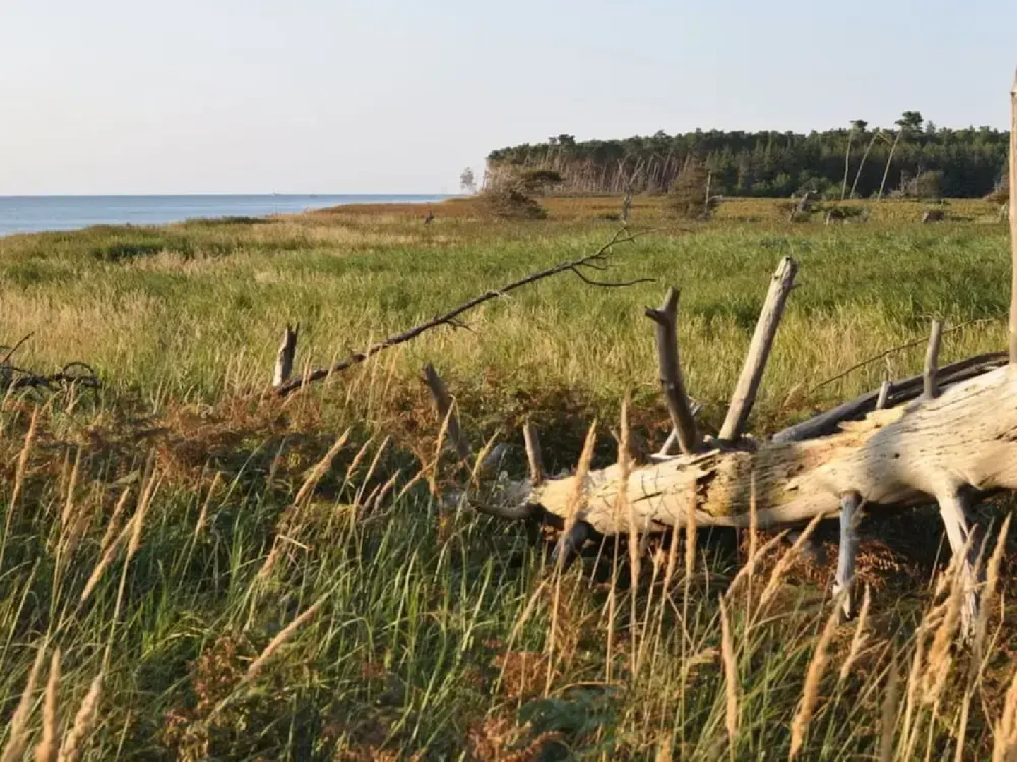 "laura" Comfortable Holiday Residence