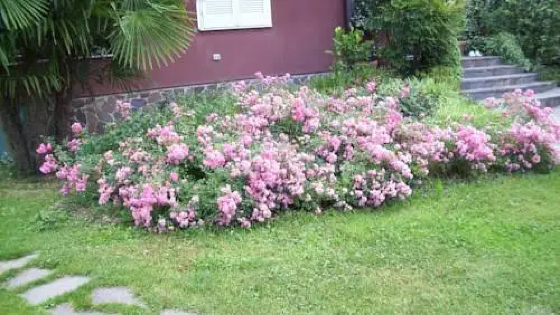 Appartamento Casa Rossa