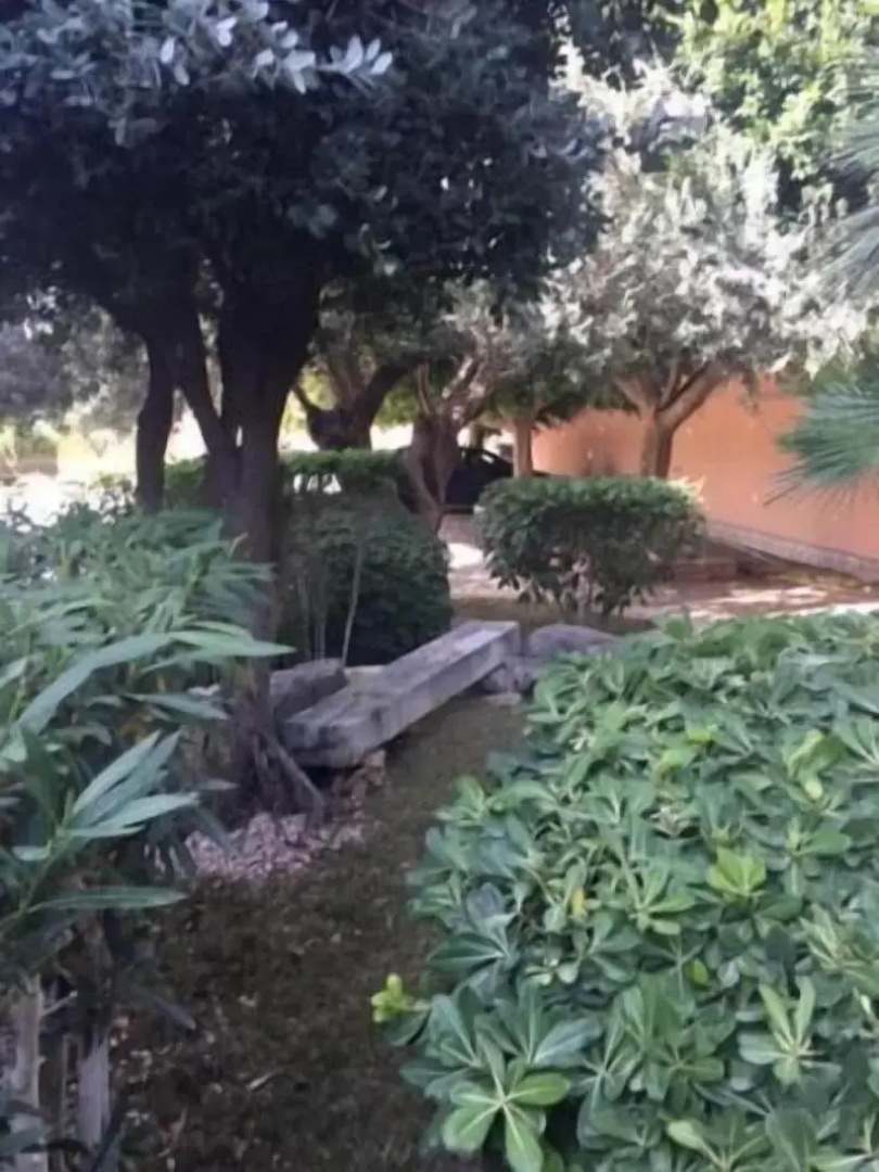 Il Giardino dei Melograni