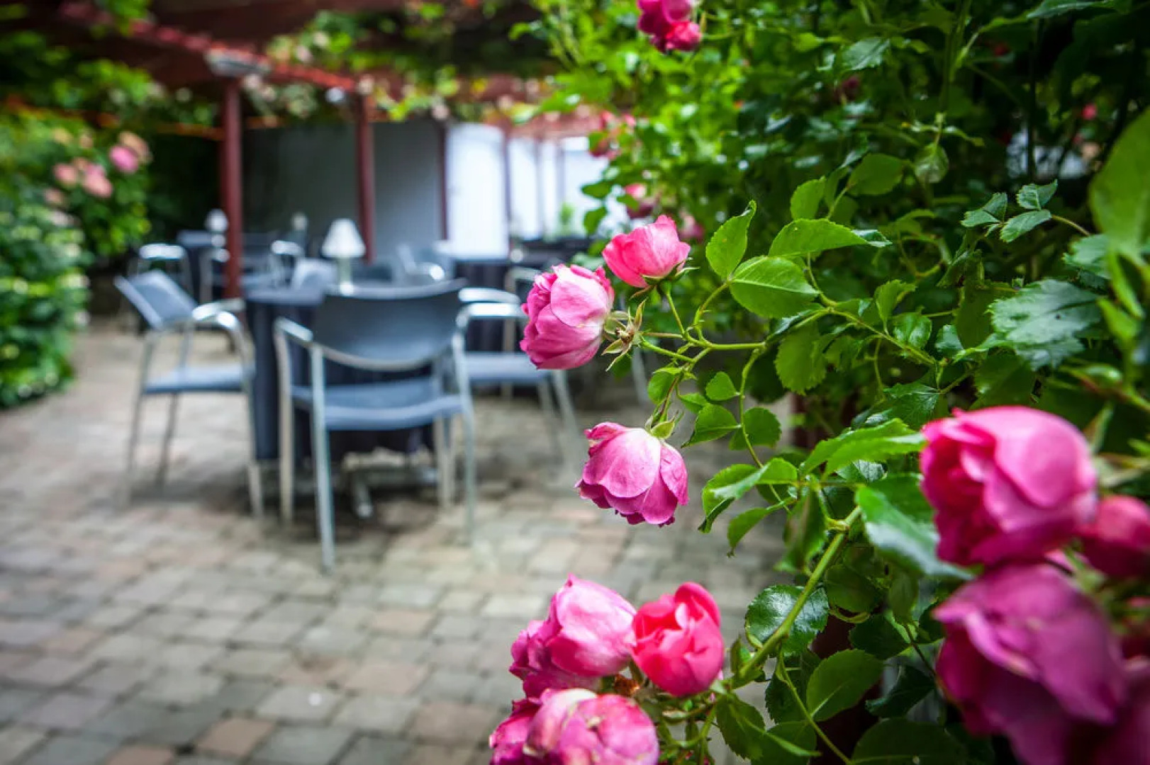 Ballyroe Heights Hotel