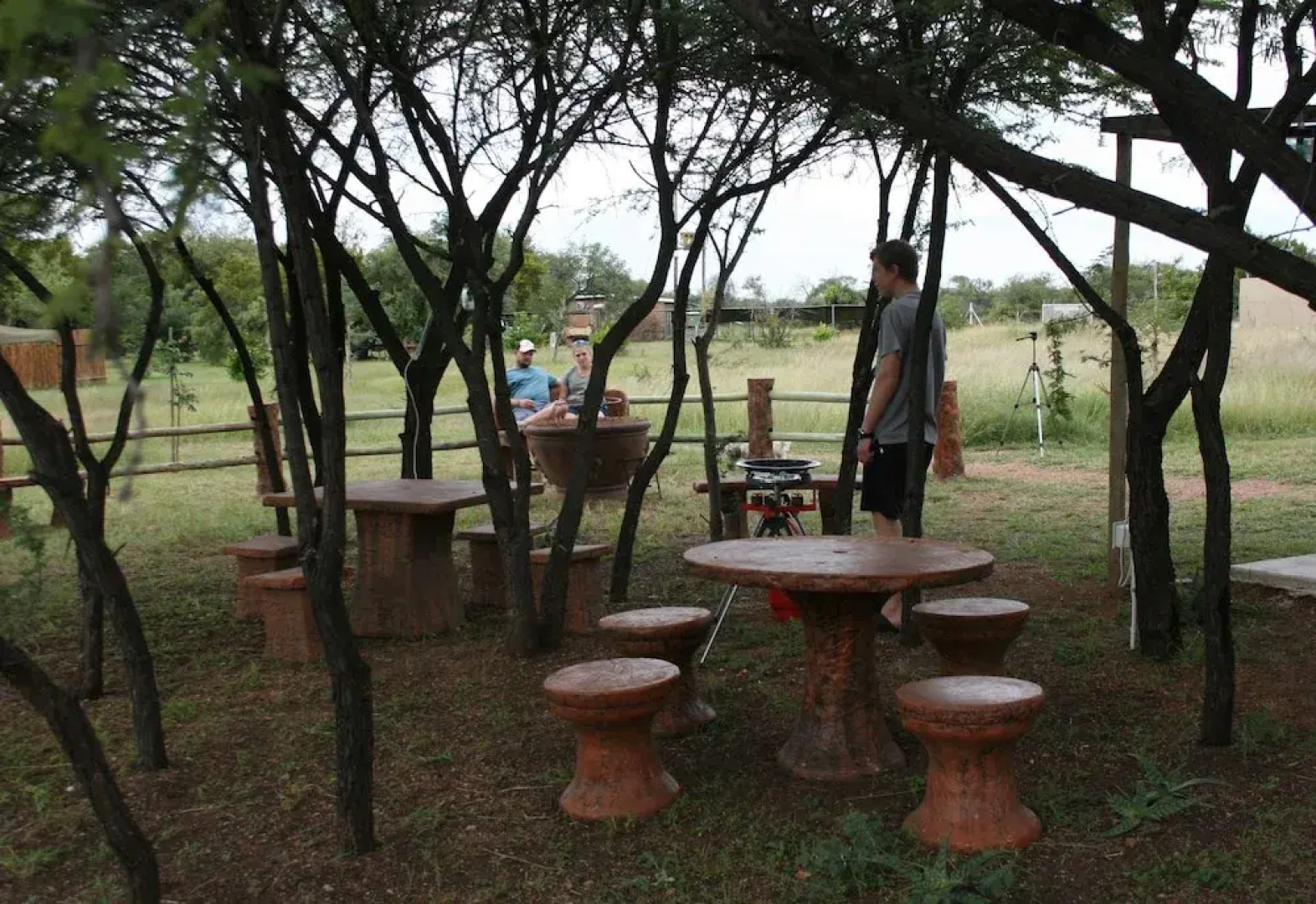 Thorn Tree Bush Camp
