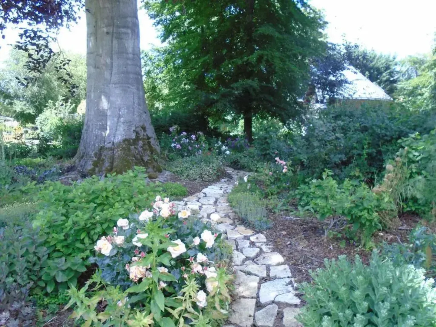 Le Gite Du Colombier