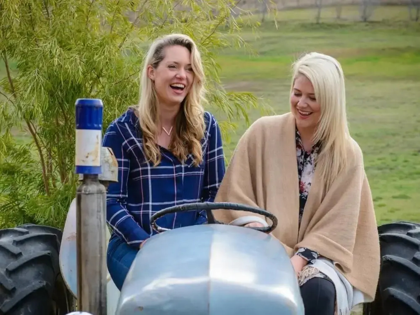 Glamping at Truffle Lodge