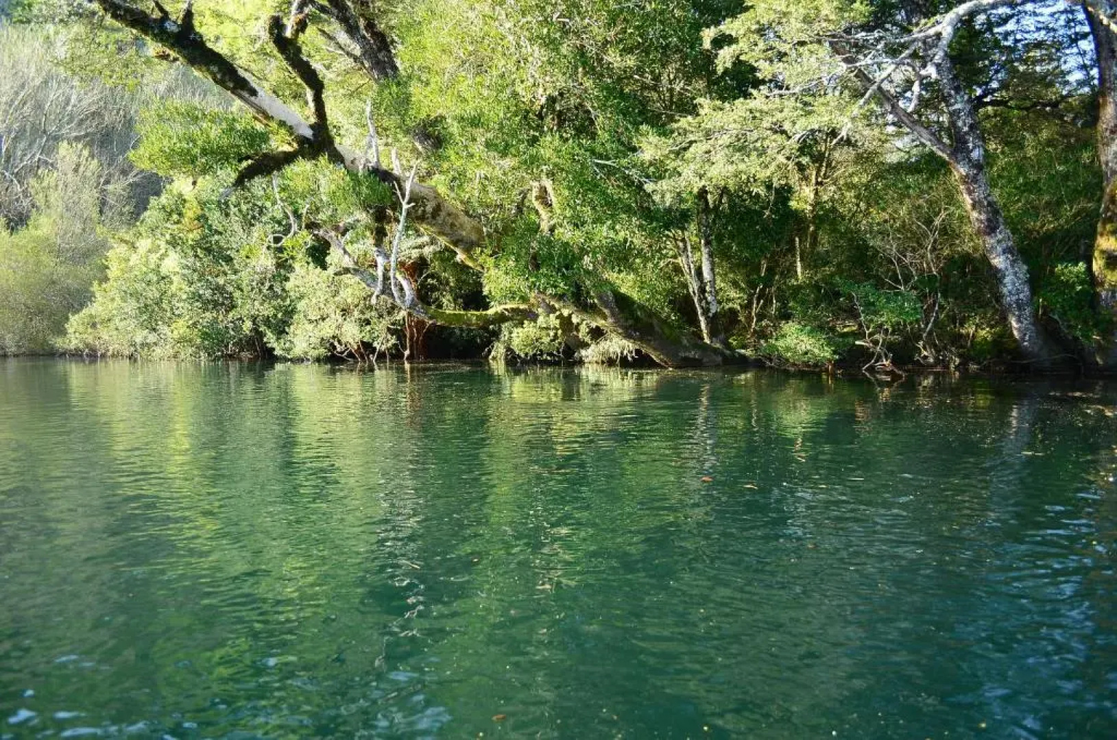 Ecoreserva Quelhue Lodge y Cabañas