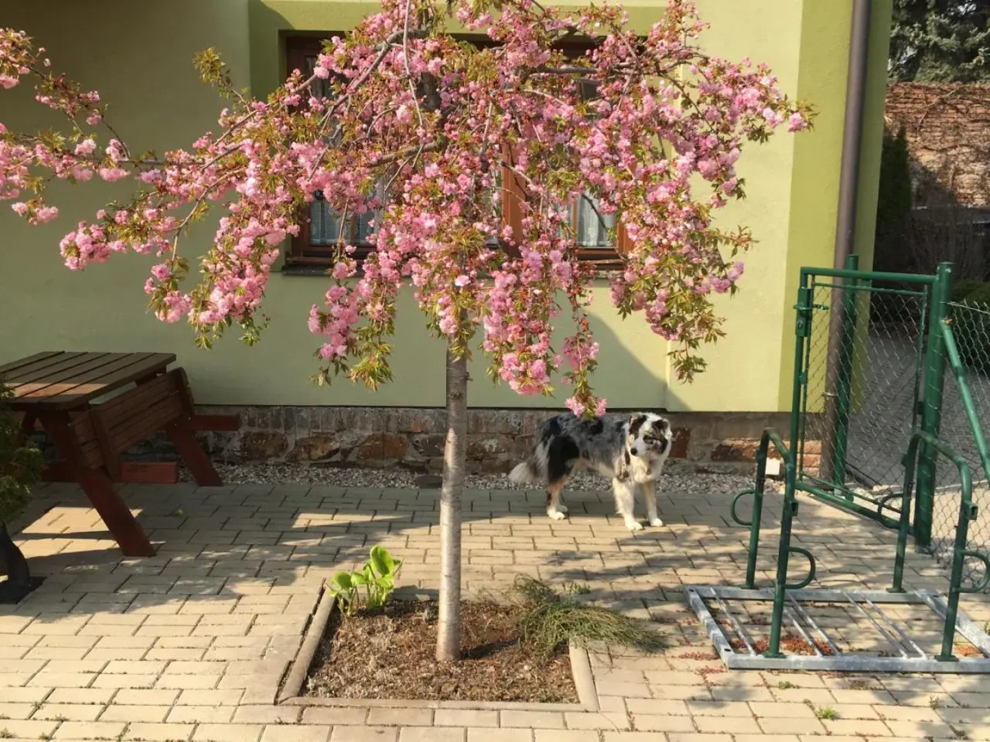 Penzion U Horských