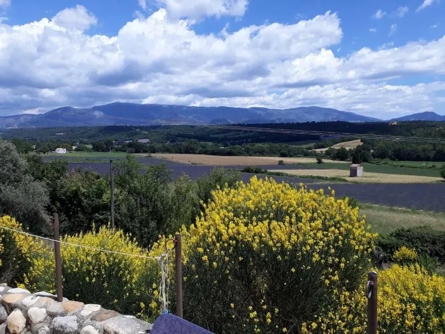 ORGANIC PROVENCE. Maison