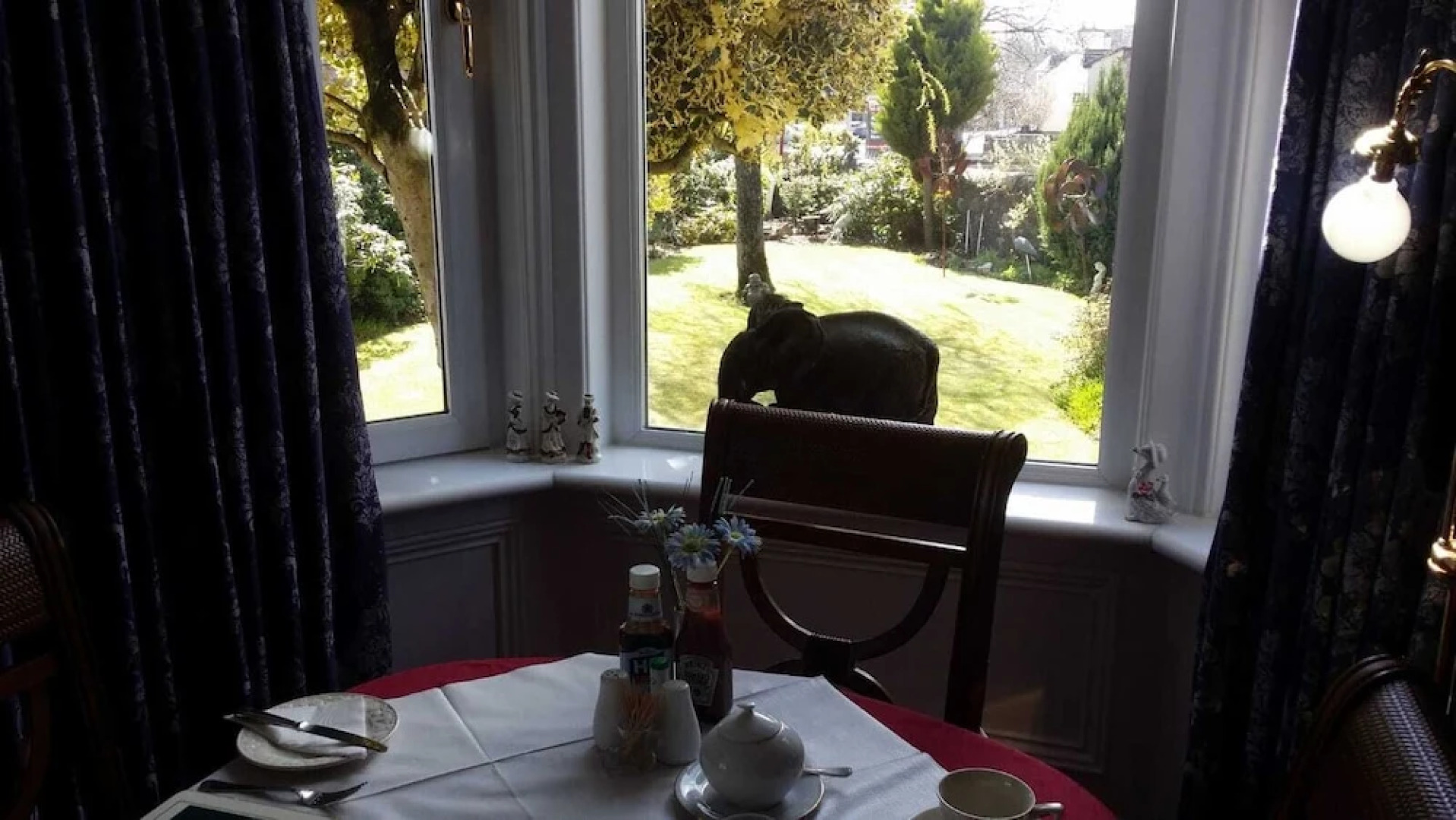 James Cottage Guest House