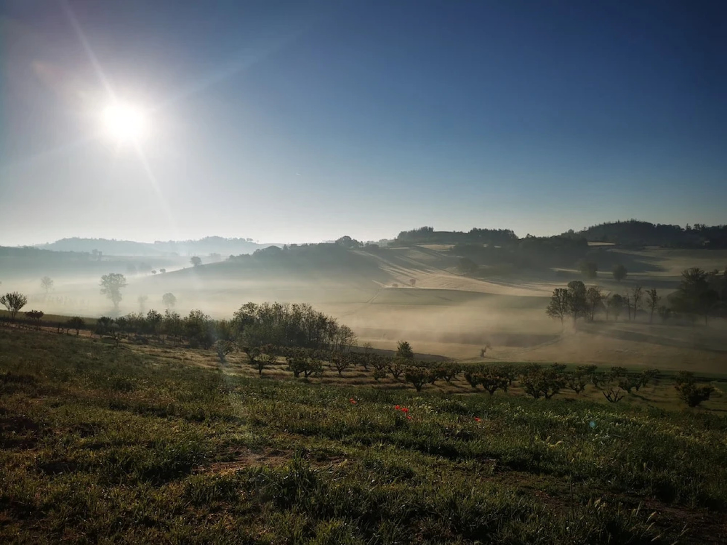 Agriturismo Tenuta Del Barone