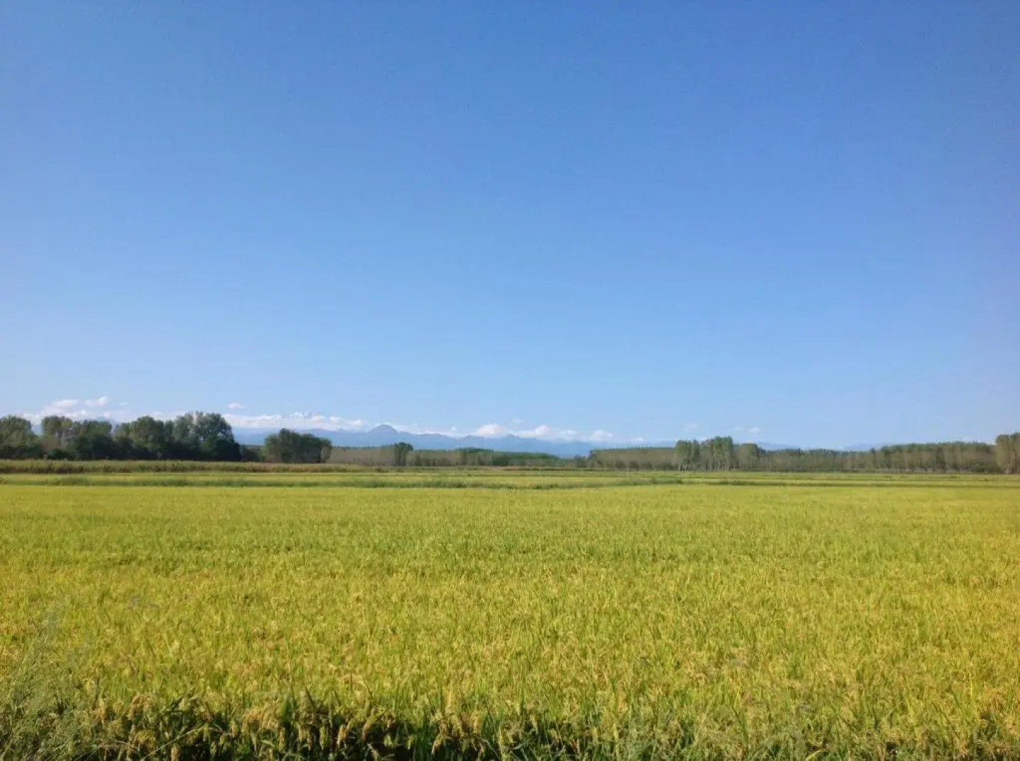 Residence Campagnole