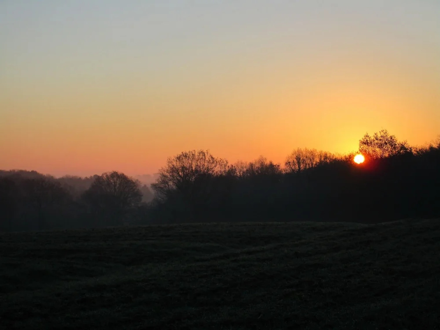 La Maison Léchémia