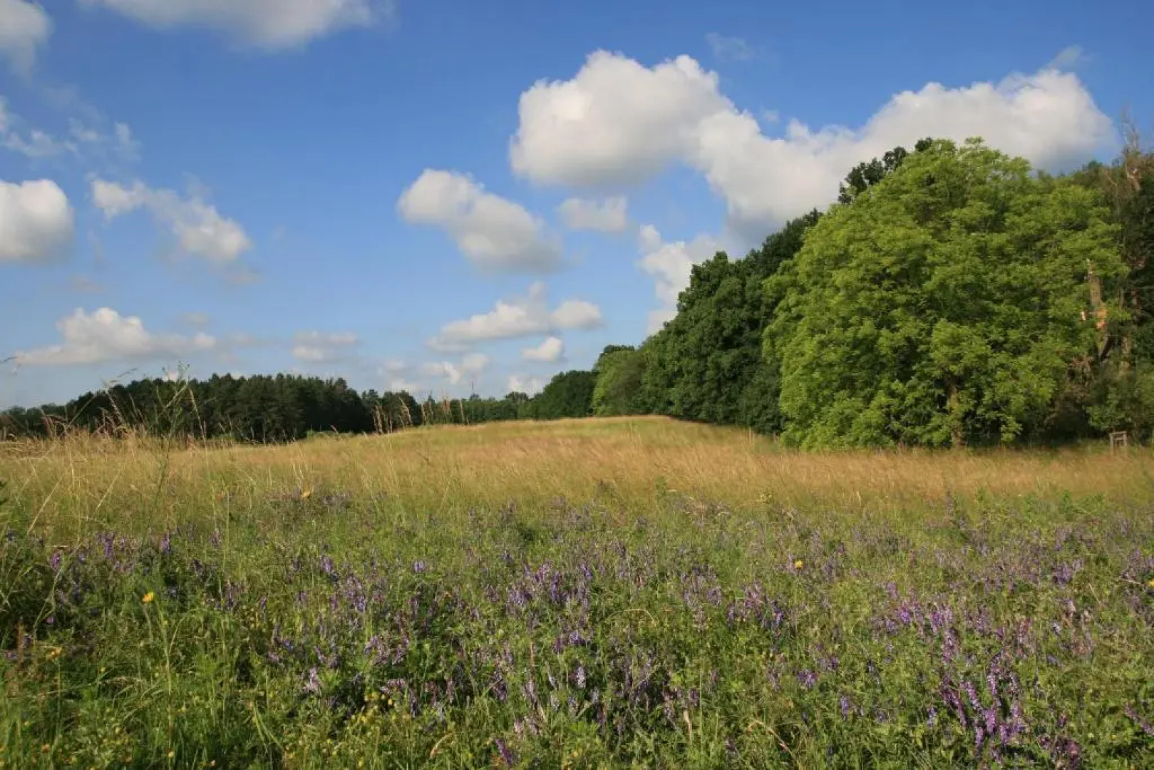 Mirabellenhof - Kleine Ferienwohnung mit Altstadtblick