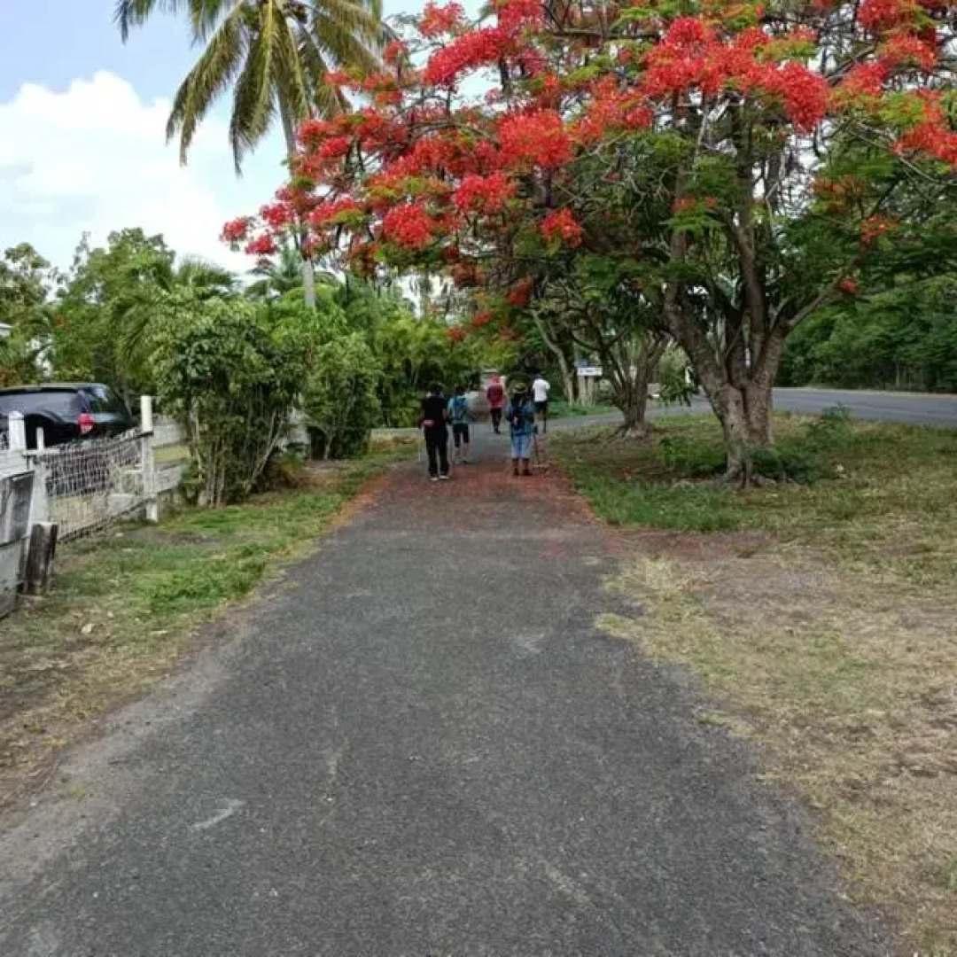 Studio Hibiscus Le Kayela