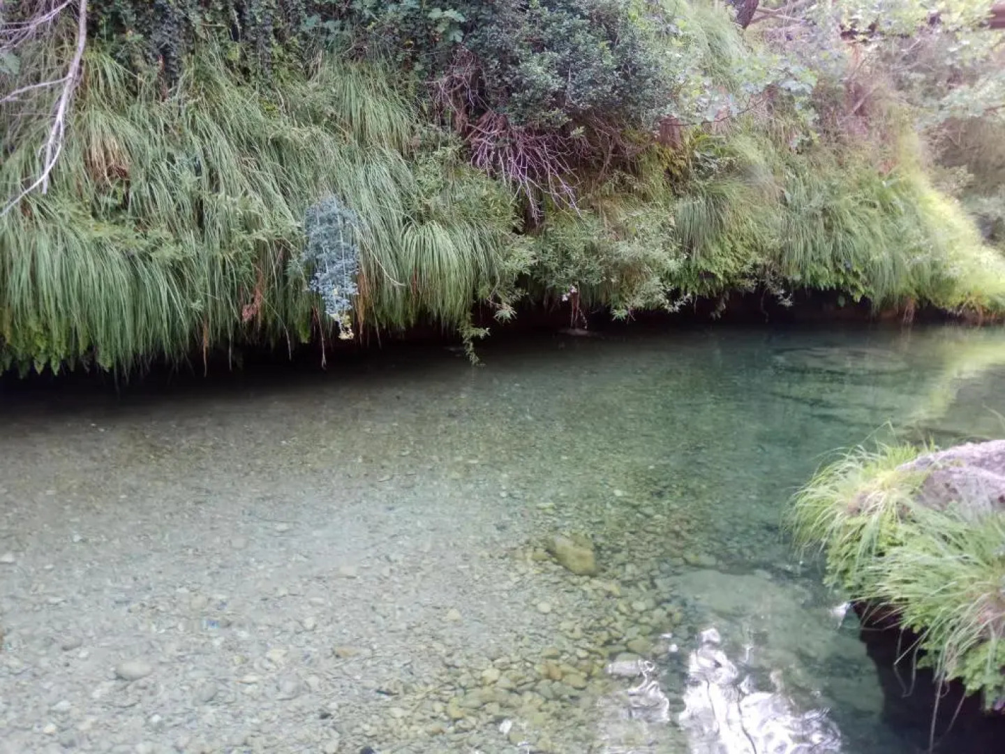 Casas Rurales La Loma Del Carrascal