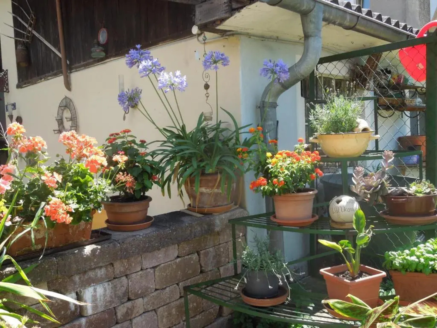 Frühstückspension Kammerer