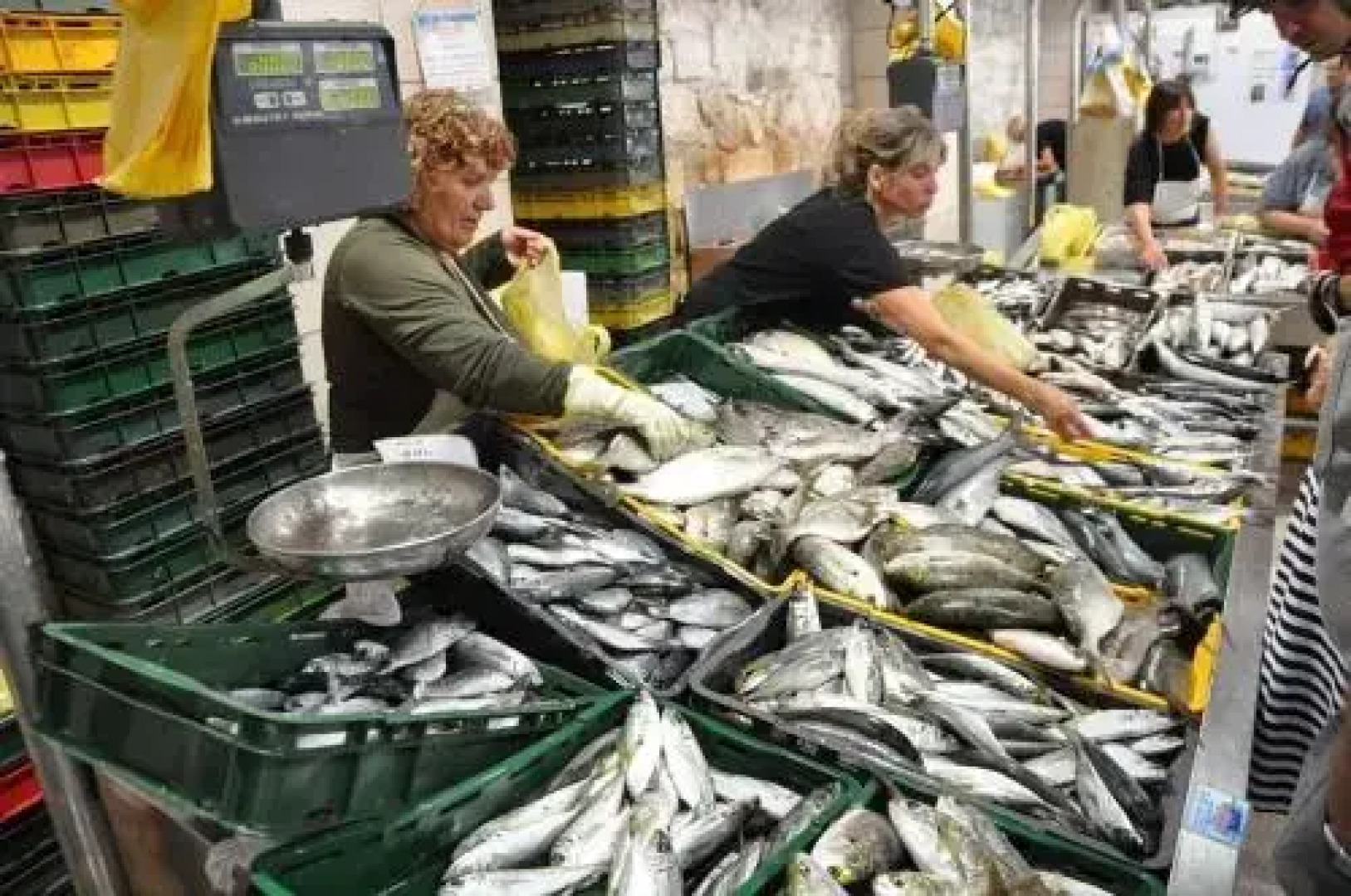 Holiday Home Villa Marin