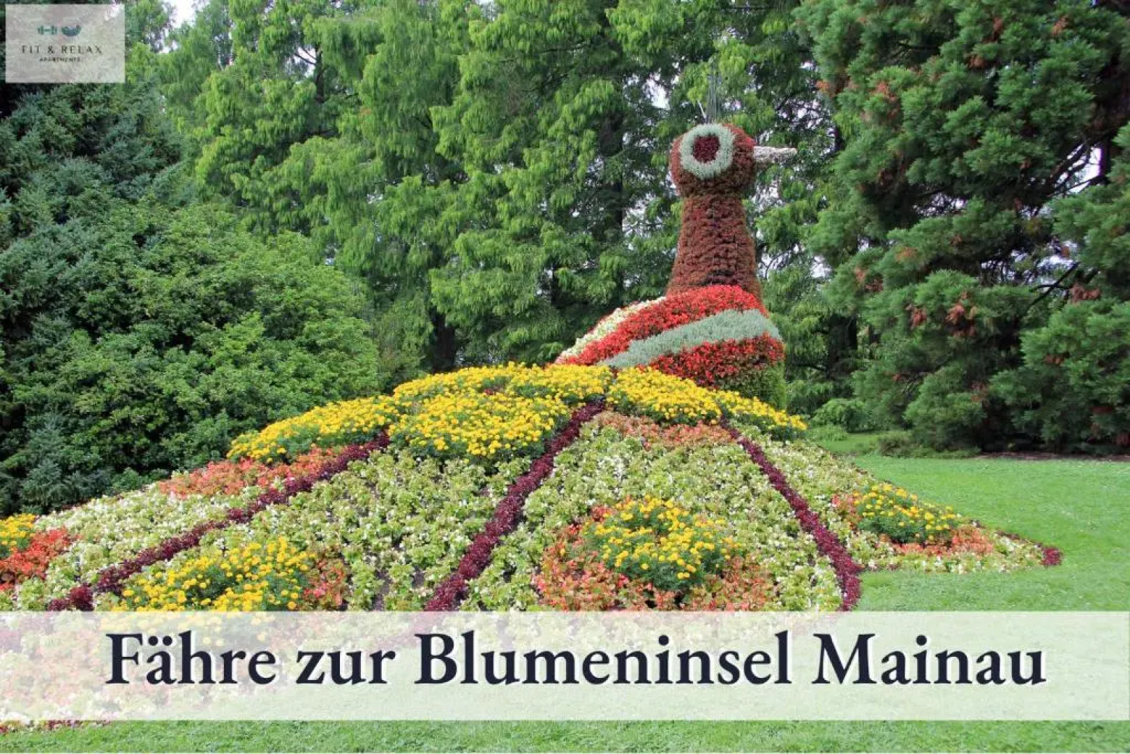 Fit-Relax Apartments Meersburg mit eigenem Sportstudio