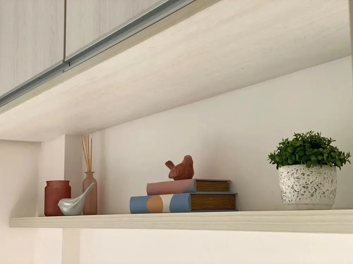 Nautilus Home Club - Penha - Polly