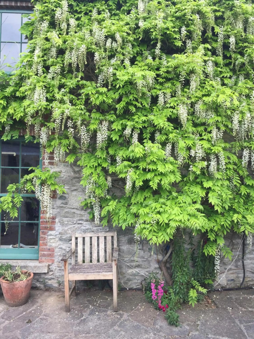 The Stable Yard House at Burtown House & Gardens