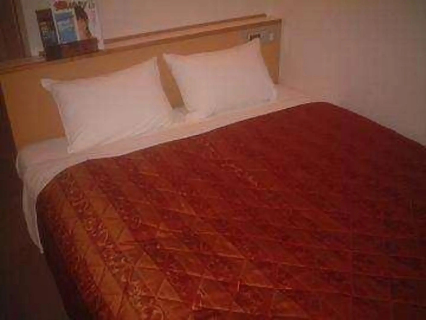 Business Hotel Shinbashi