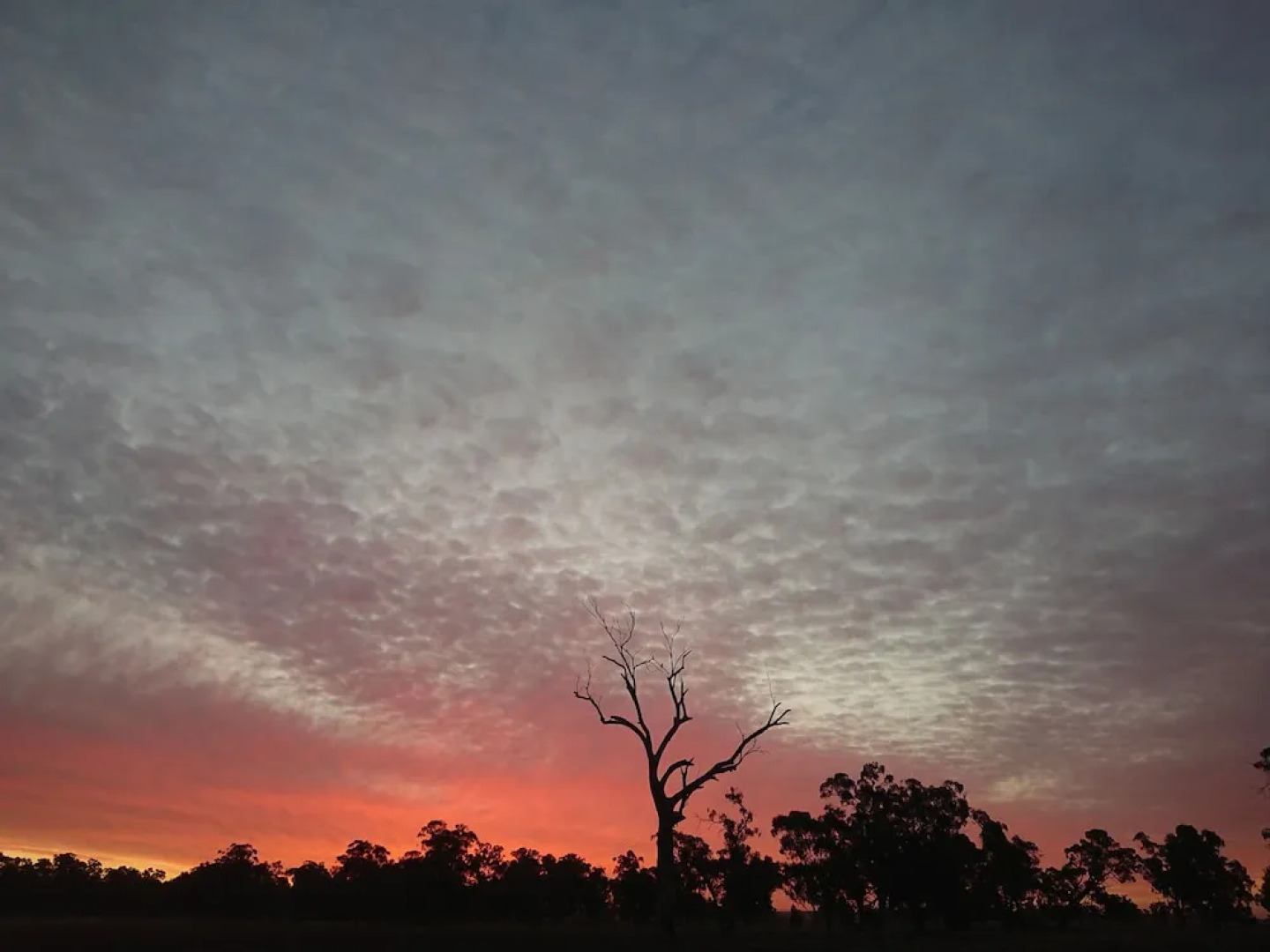 Carrawobitty Rural Retreat