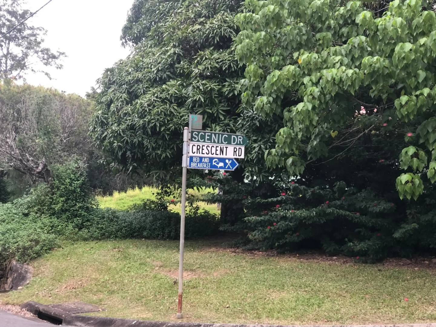 Eumundi Cottage in Town