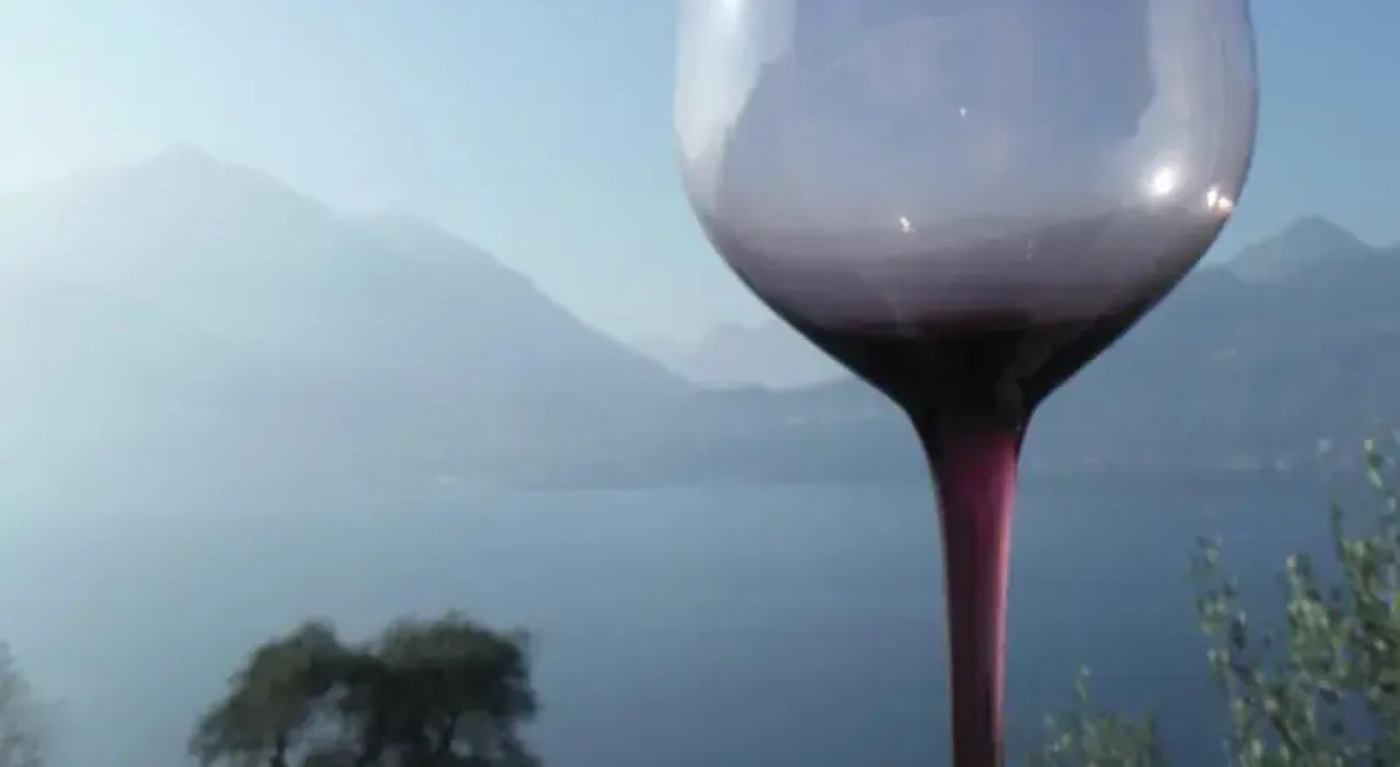 Exclusive Villa Olives Tree