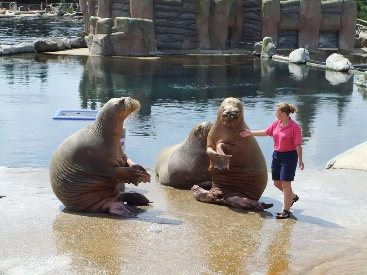 Cosy on ground level home, wifi, central location, many children's equipment