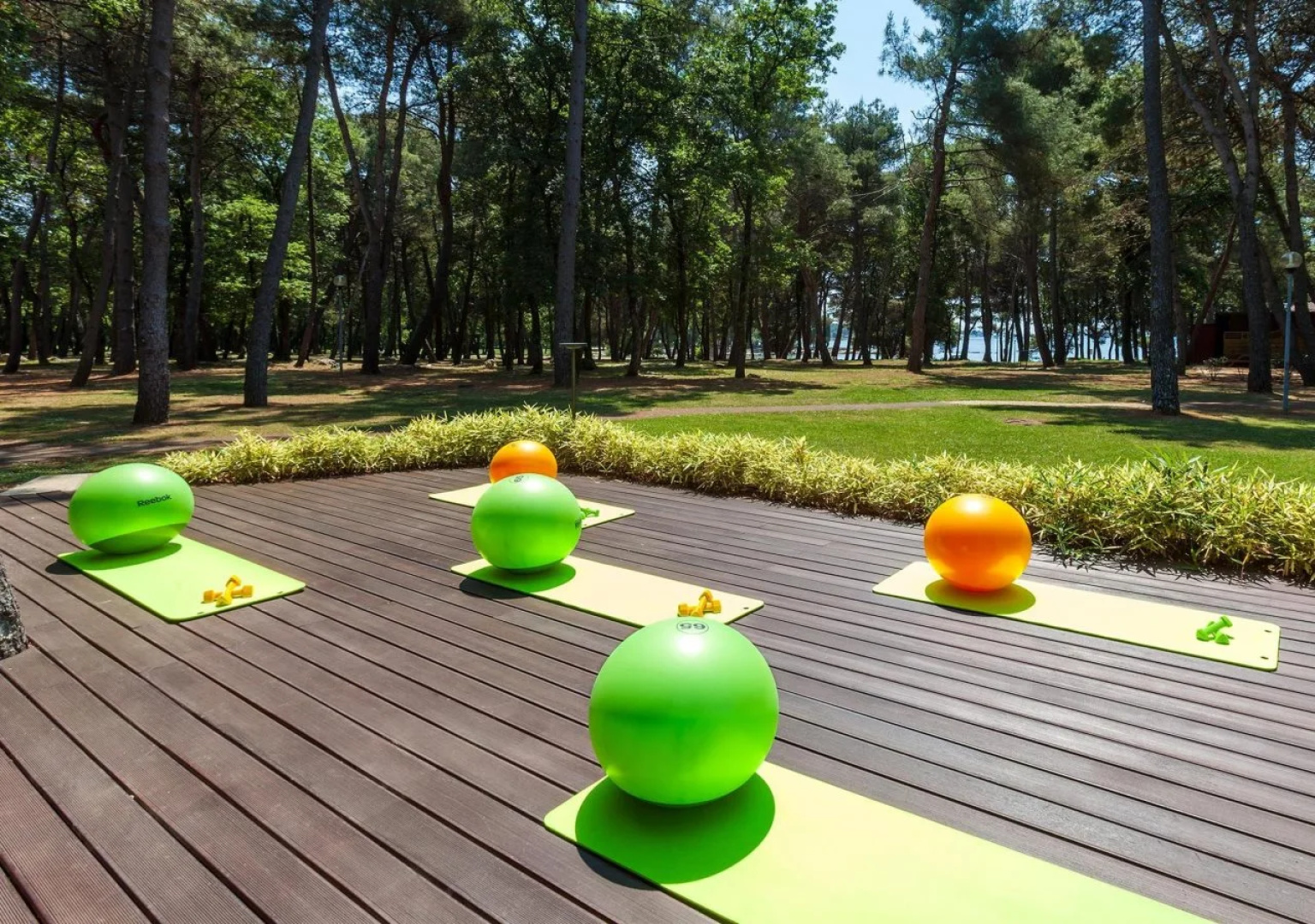 Hotel Pelegrin Plava Laguna