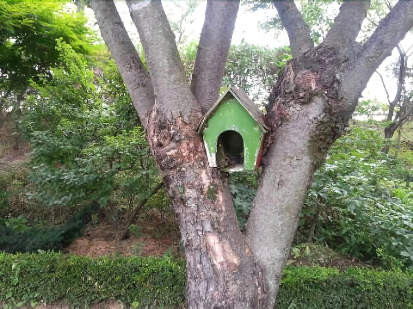 Yangpyeong Silver River Pension