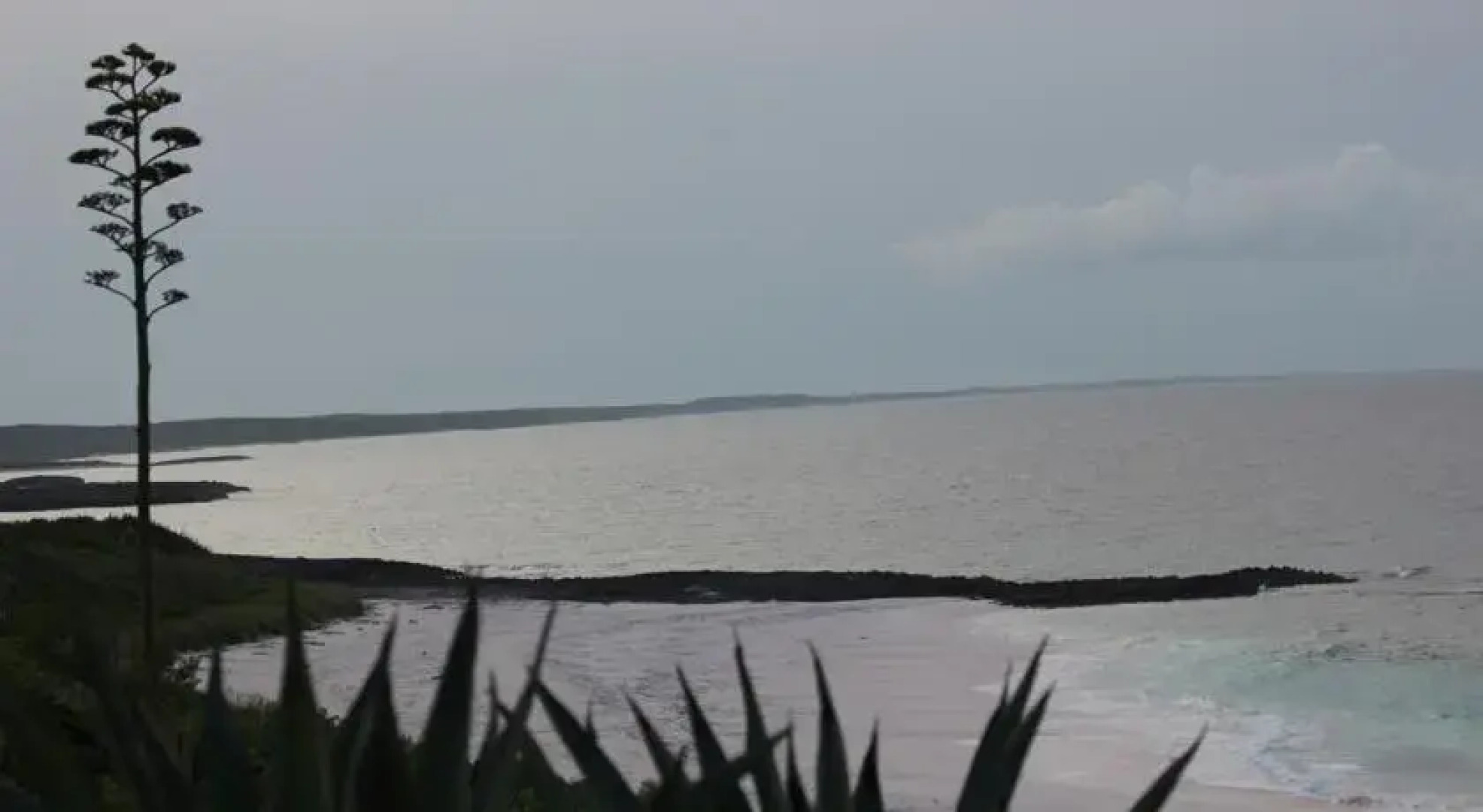 The Ocean Dream Beach Resort