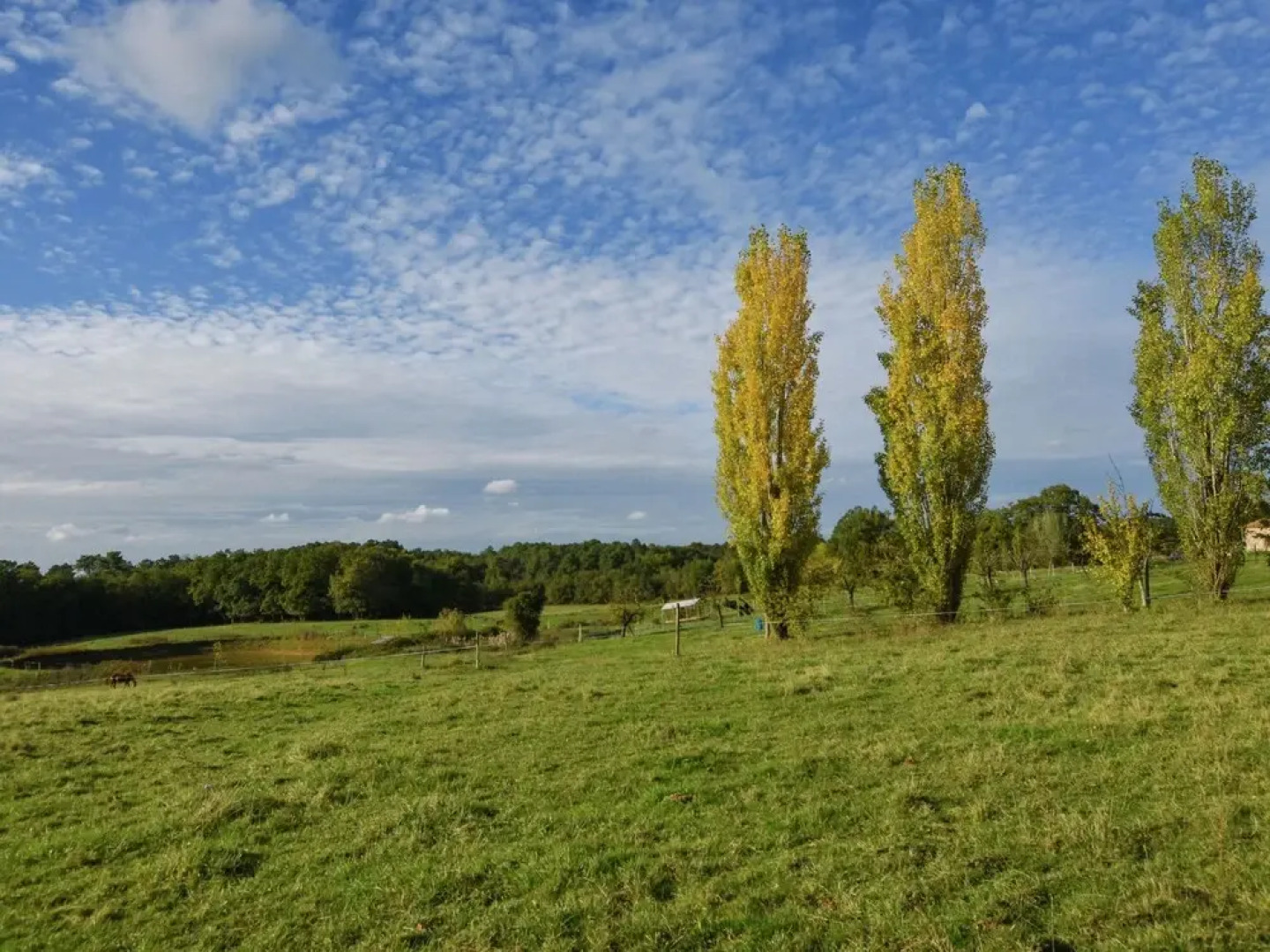 Lovely holiday home in Biron with fenced swimming pool