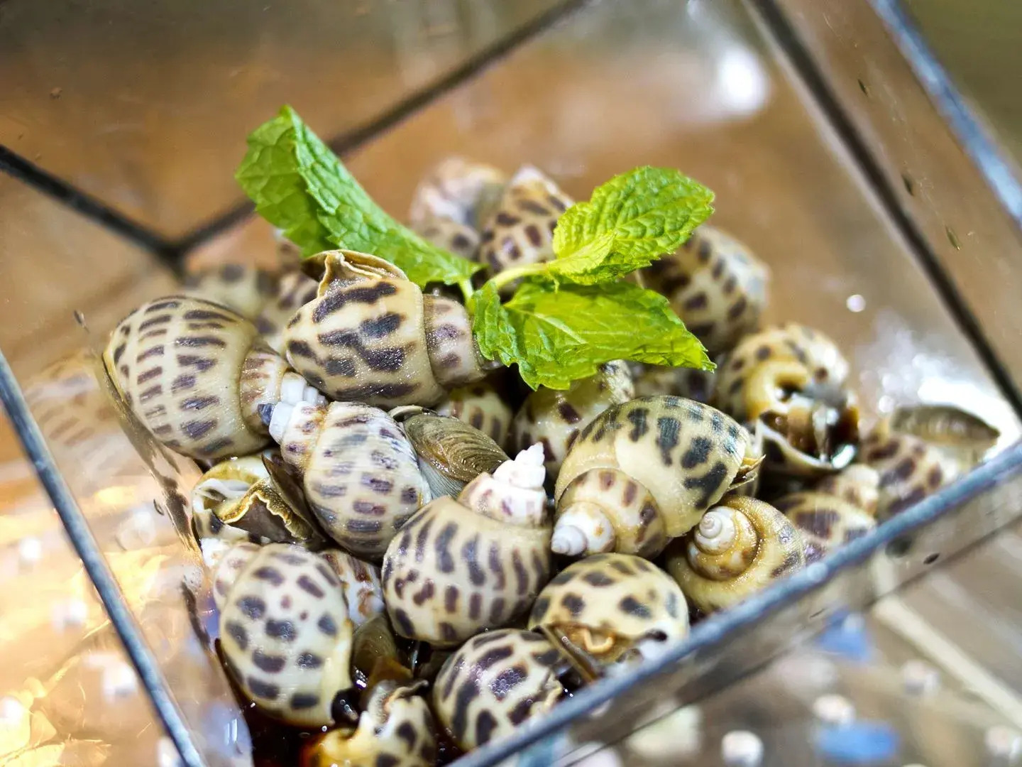 DoubleTree by Hilton Hotel Shenyang