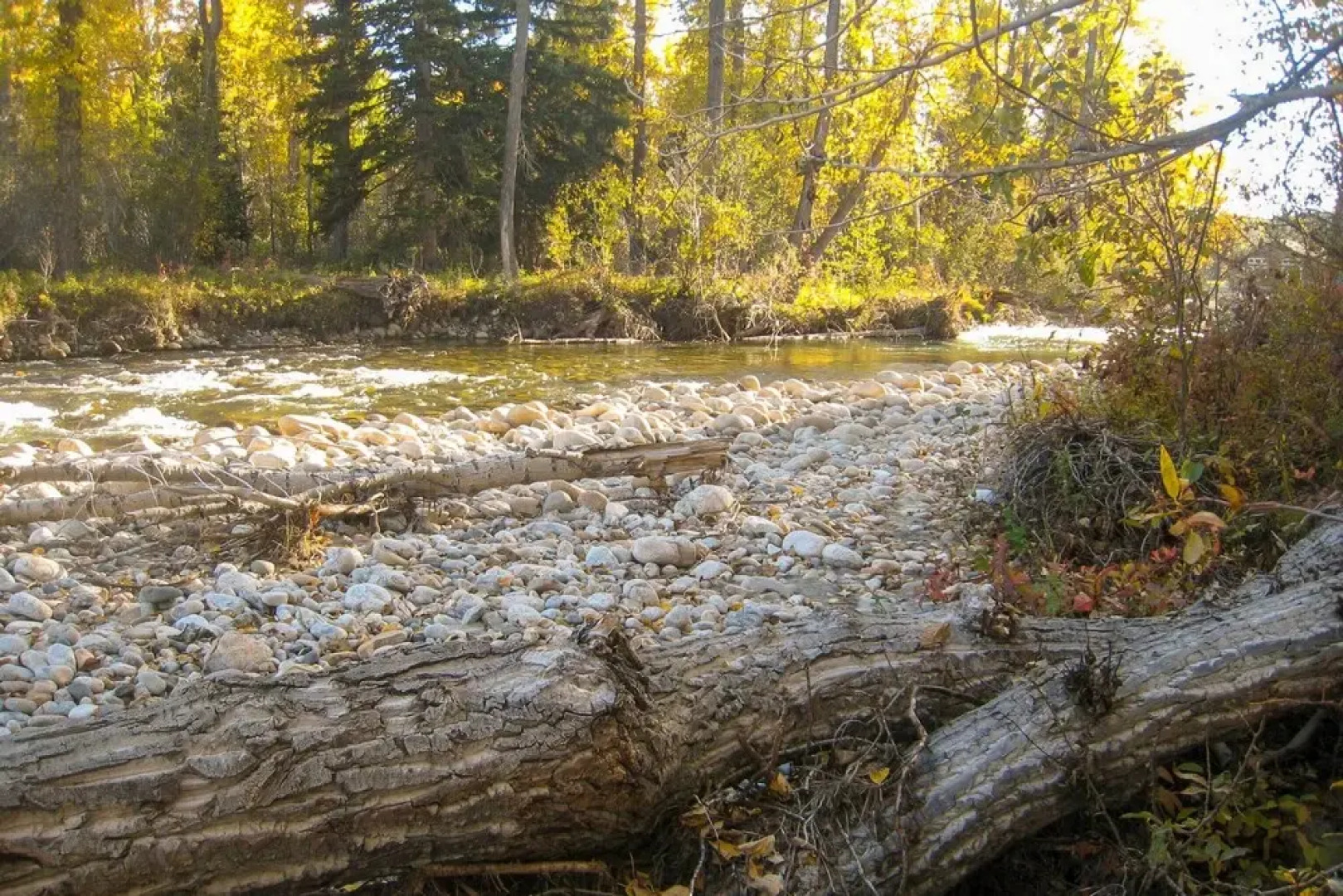 Red Lodge Retreat w/ Creek Access + Fire Pit!
