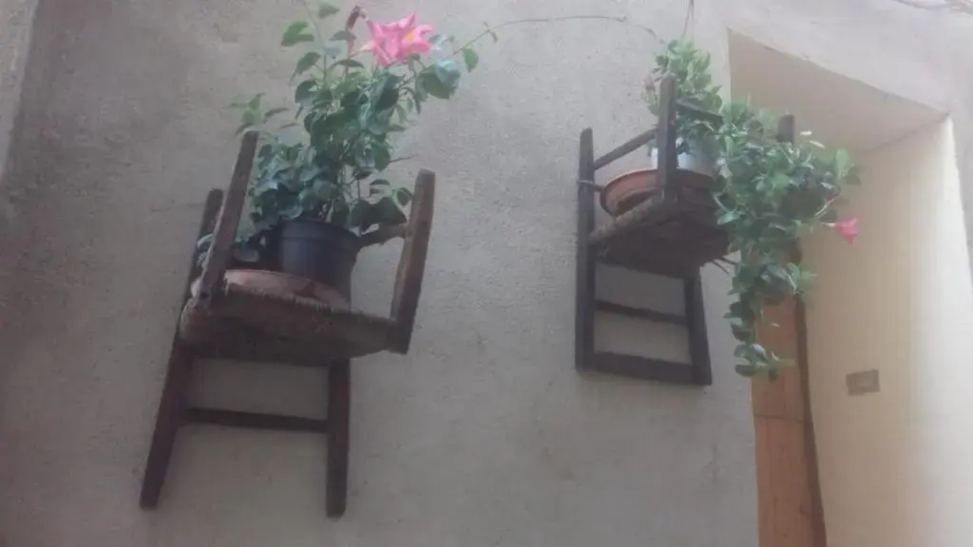 B&b il campanile di leone Pina