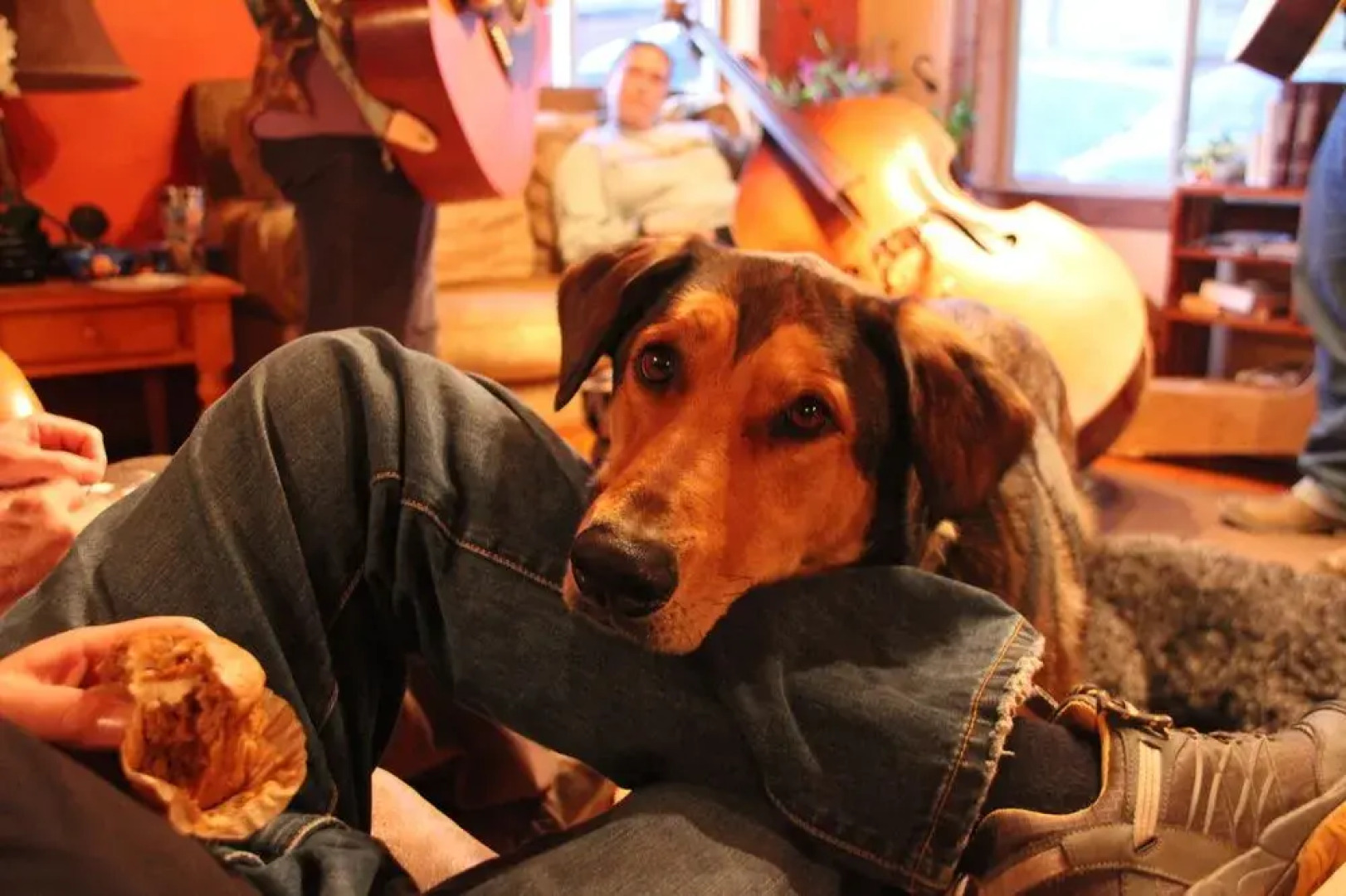 North Yellowstone Lodge and Hostel