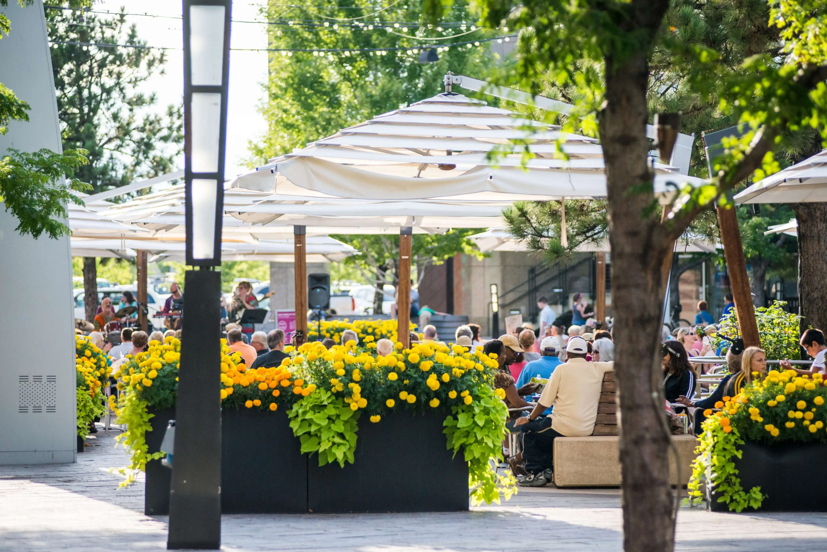 Hyatt House Denver/Lakewood at Belmar