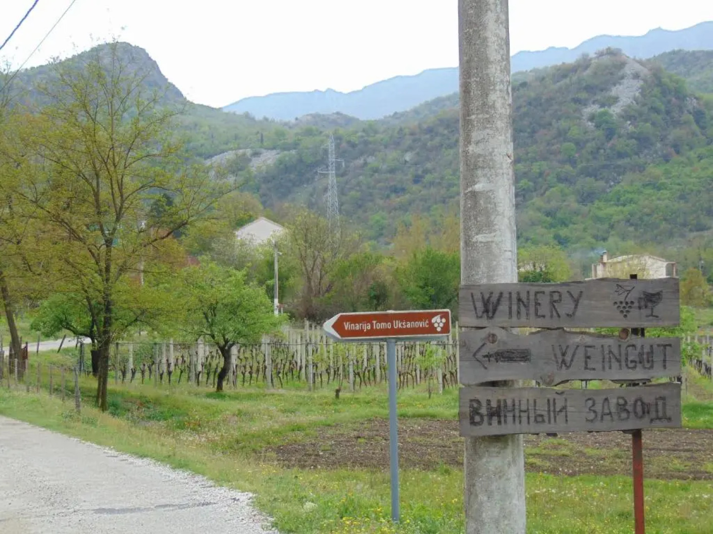 Studio and winery Kalimut