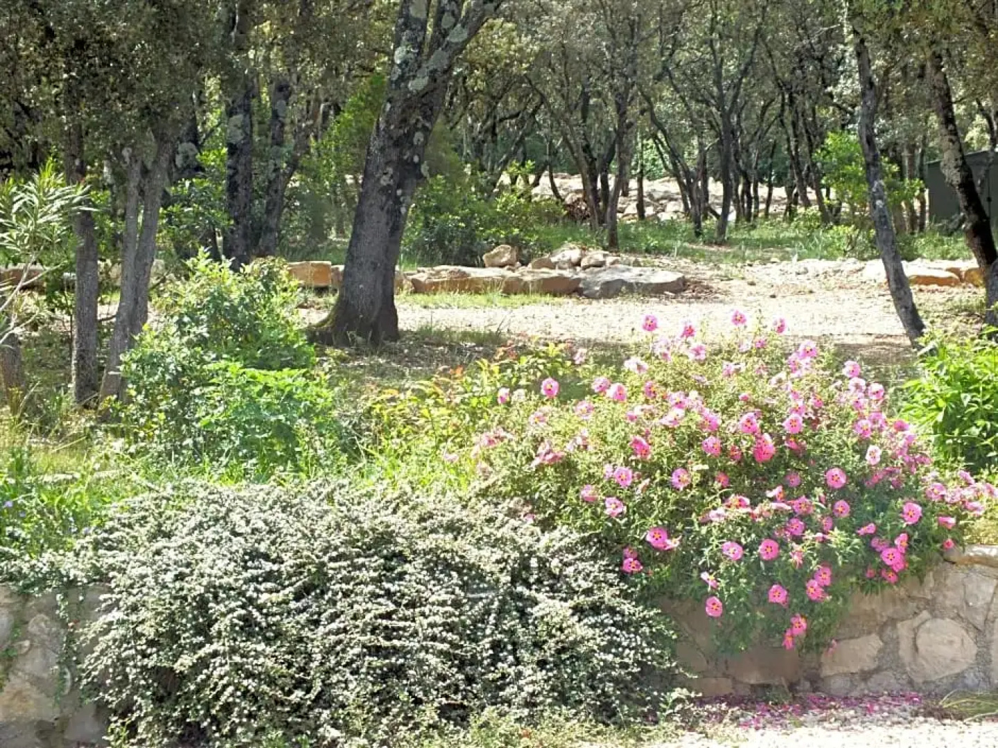 B&B Le Mas Des Chenes