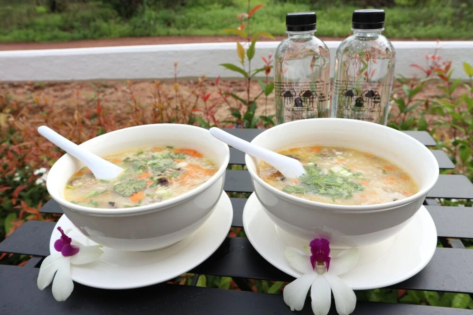 The Rubber Tree Resort