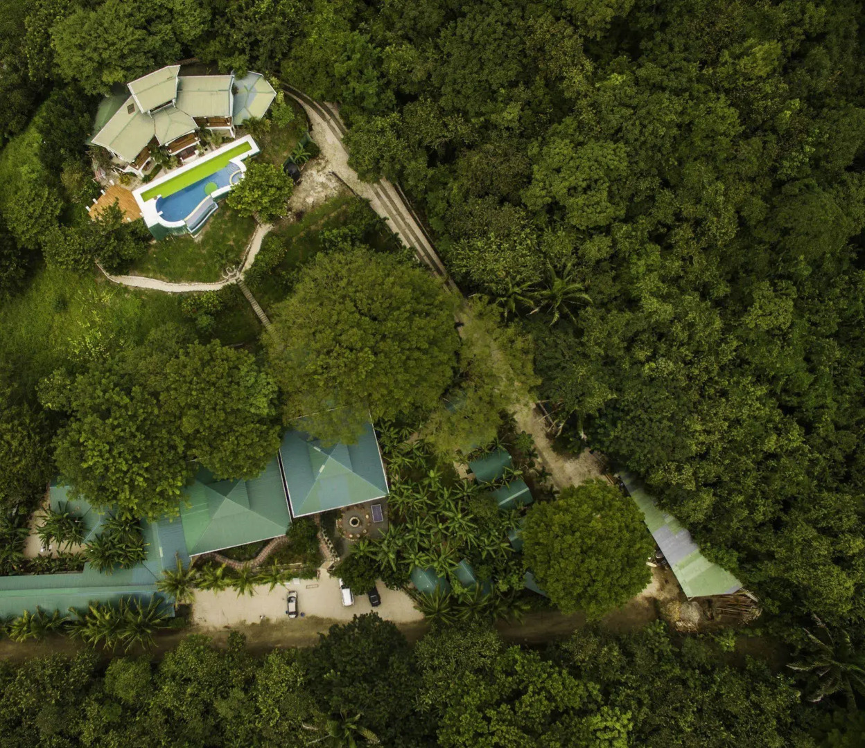 Jungle's Edge: Jiu-Jitsu, Muay Thai & Yoga Retreats