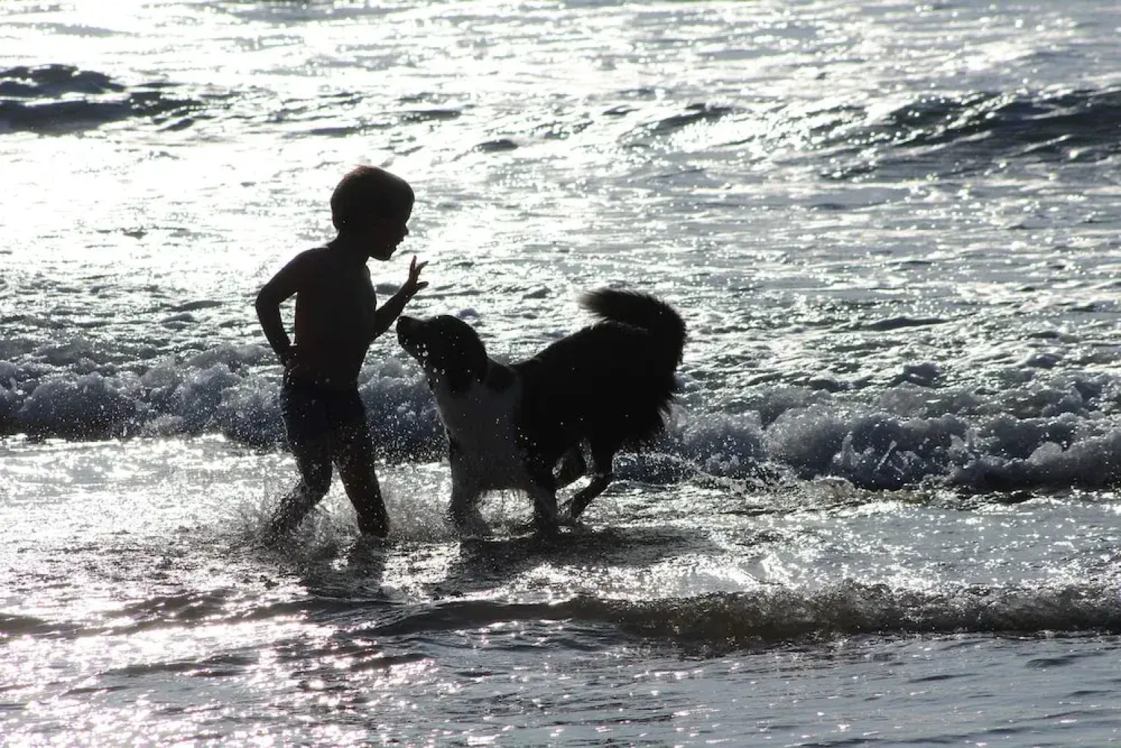 L'Imprenable vue mer