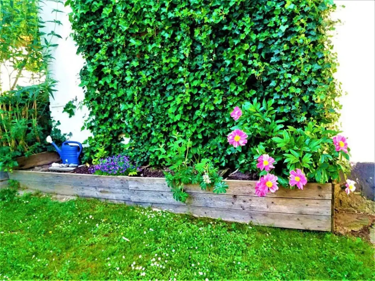 Haus Taekema Appartments