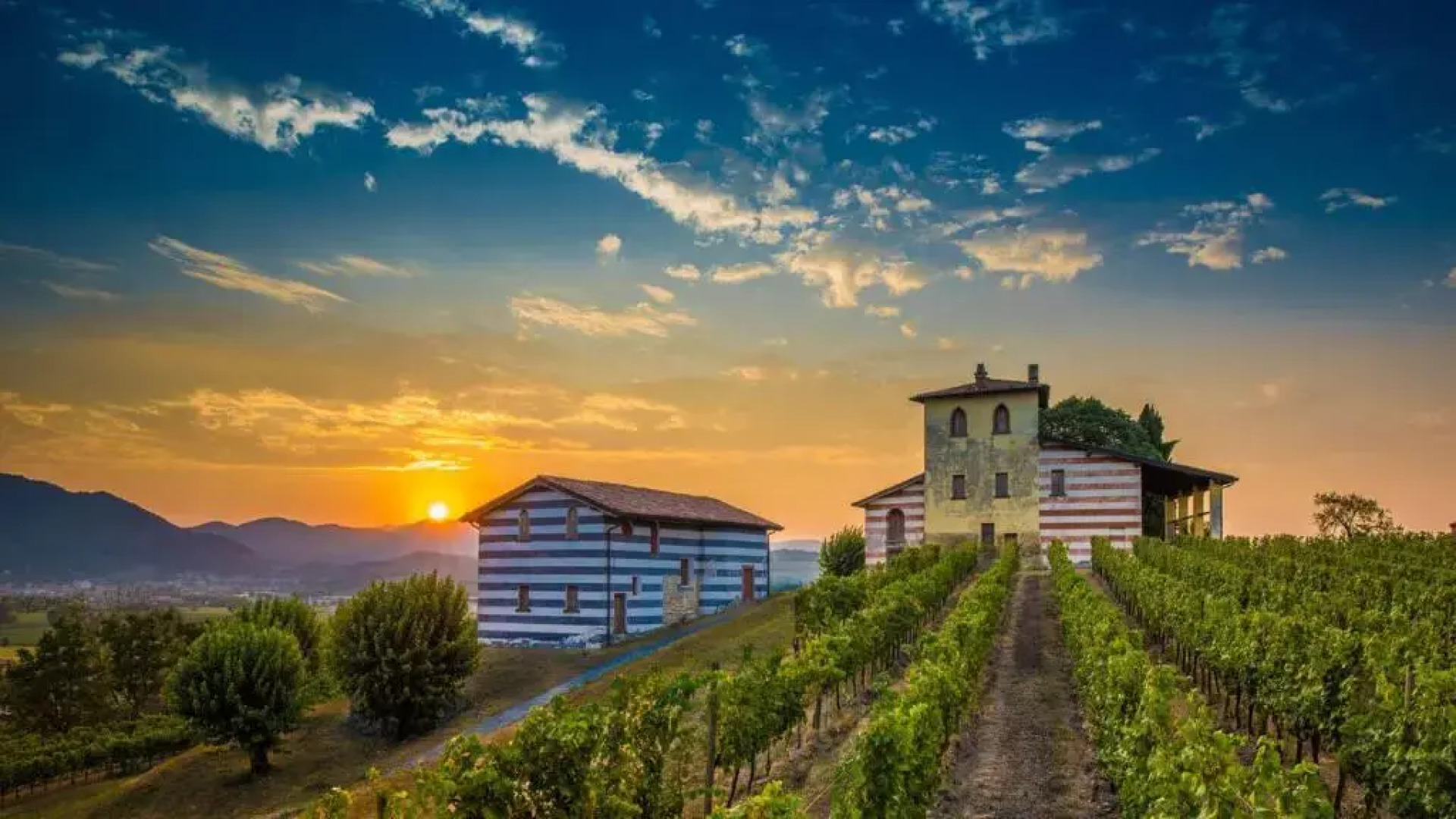 10' da BRESCIA in Franciacorta tra Lago & Vigneti relax a 2 passi dalla città