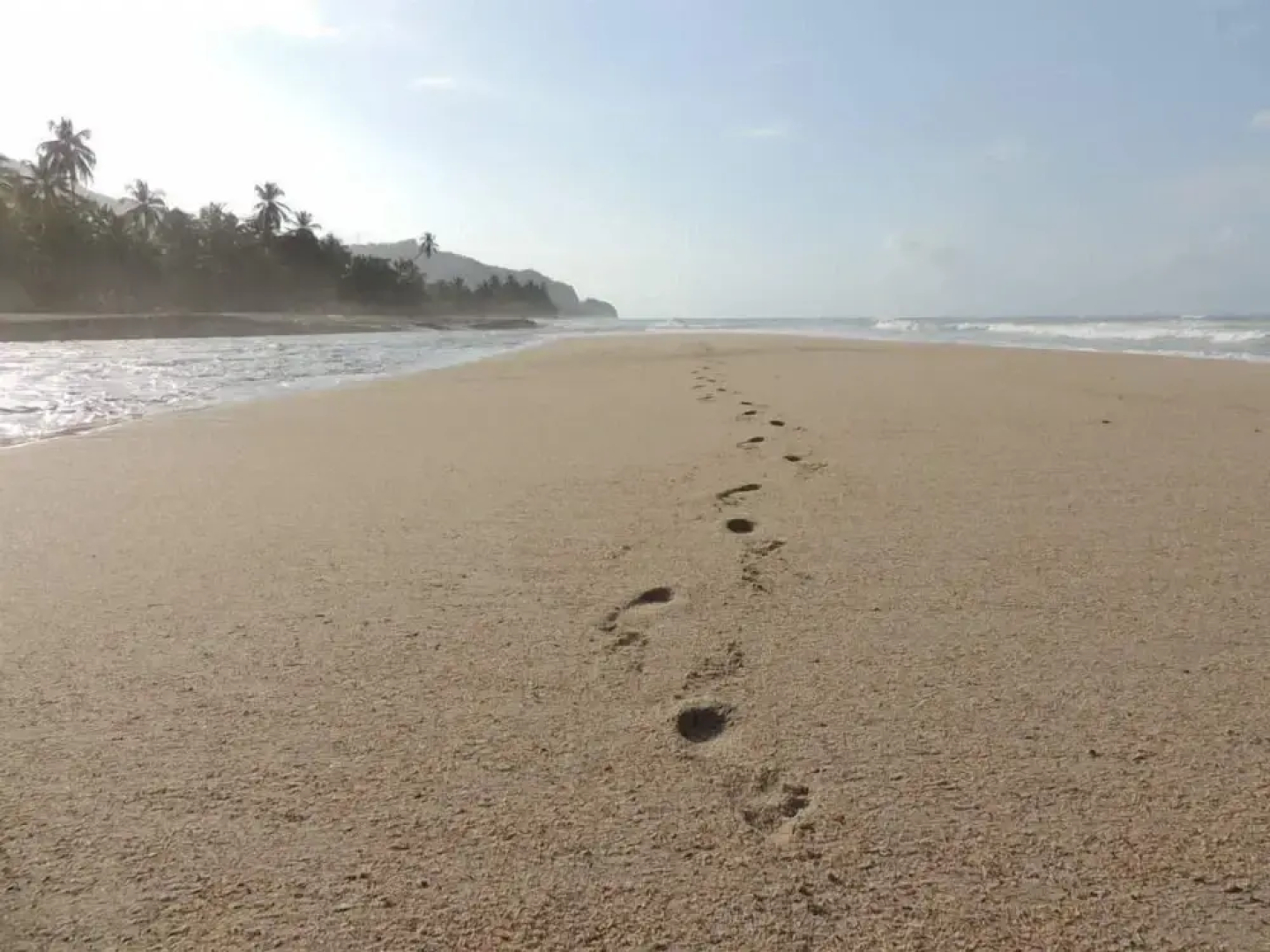 La Rivera Playa Palomino