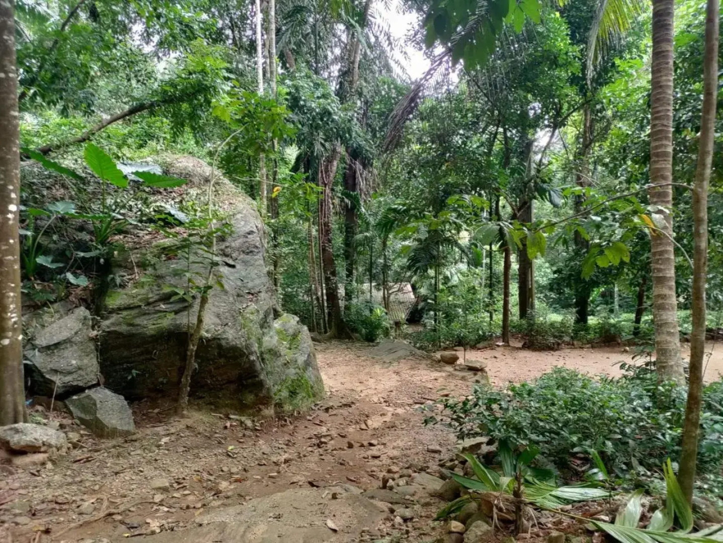 Gallene Gala Nature Resort