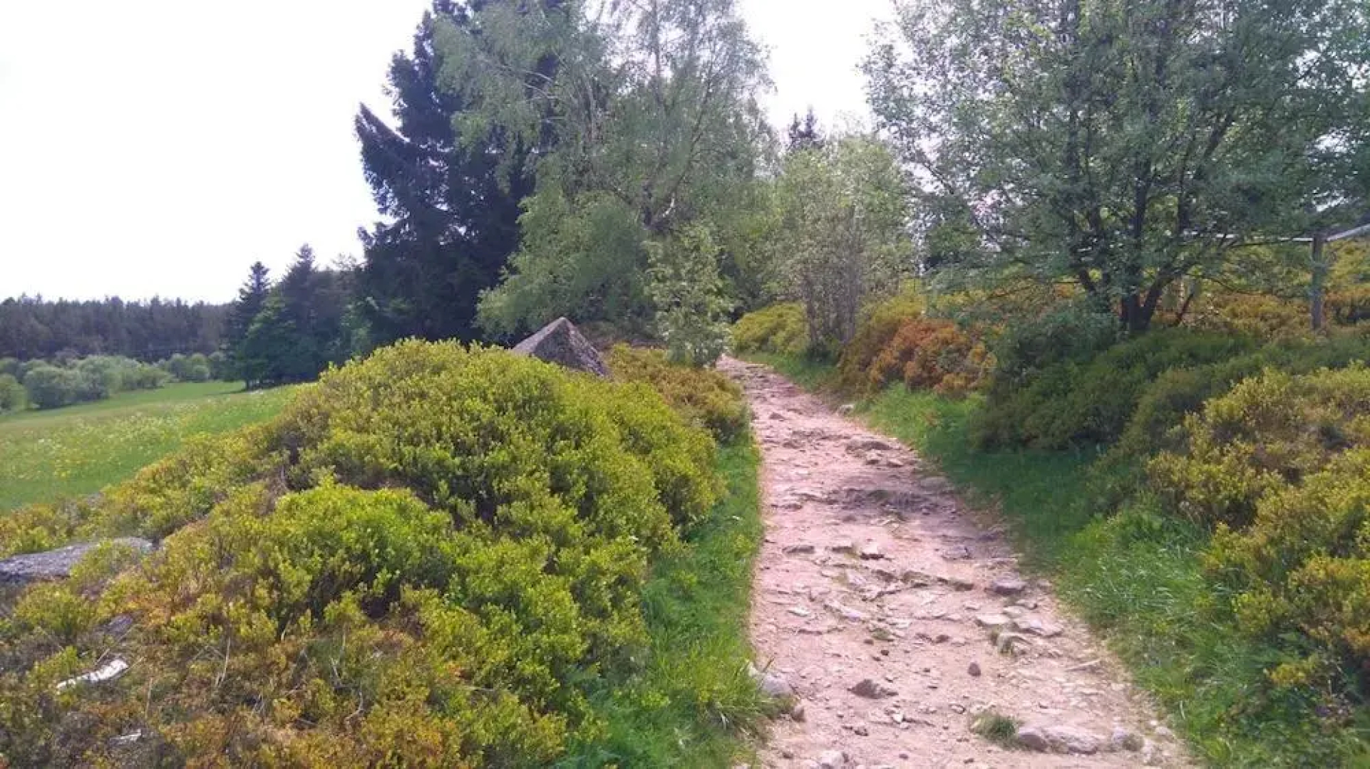 VVF Club Intense La Route des Vins d'Alsace Orbey