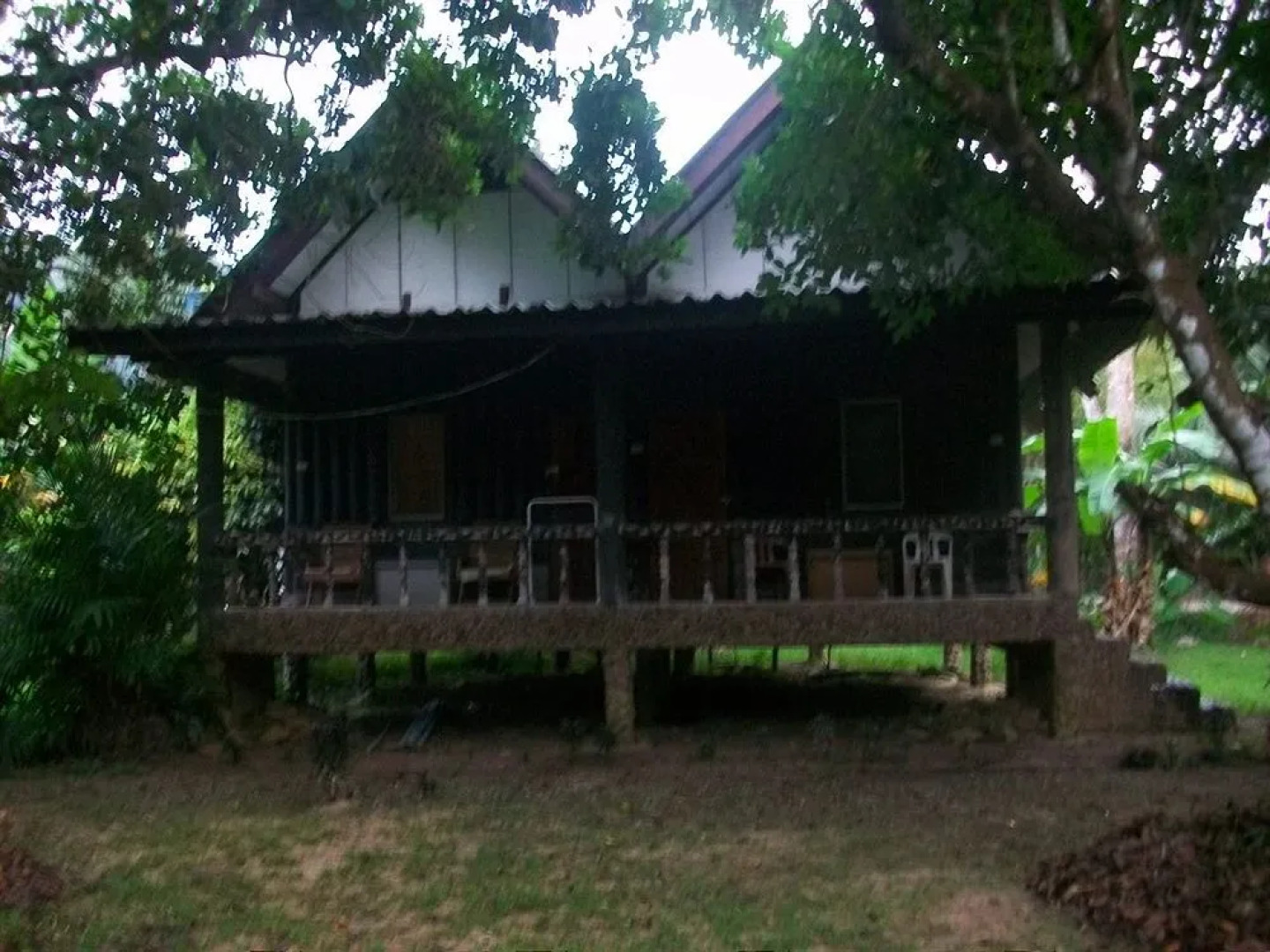 Bamboo House